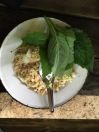 A quick lunch of fried rice with a leafy herb picked straight from the forest